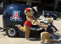 Wilbur and Wilma Wildcat Get Remarried