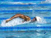 Swim and Dive Defeat Wisconsin and UCSB in Season Opener