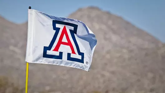Arizona golf flag
