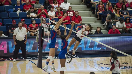 Halli Amaro vs. Kansas