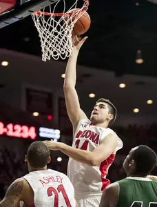 Dusan Ristic