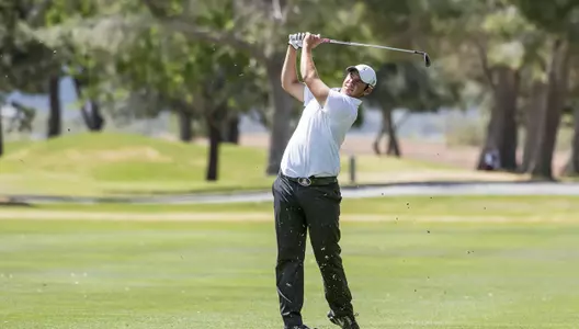 men's golf cropped