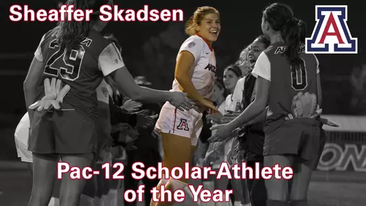 Sheaffer Skadsen