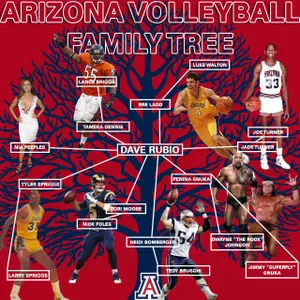 Arizona volleyball family tree large