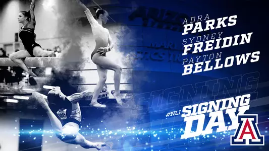 NLI Release