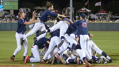 celebration dogpile