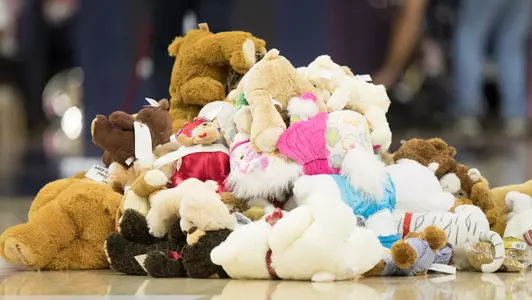Teddy Bears