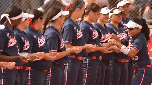 Softball Intros