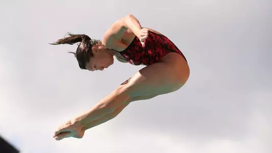 Karolyn Loftus