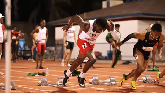 David Egbo