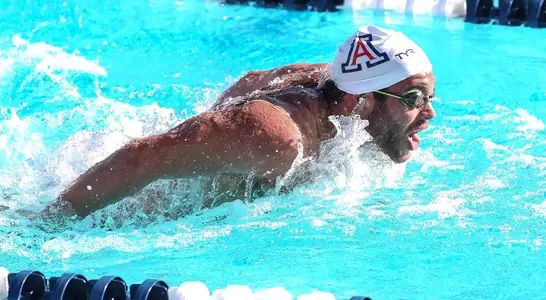 Arizona Wildcats swimming and diving