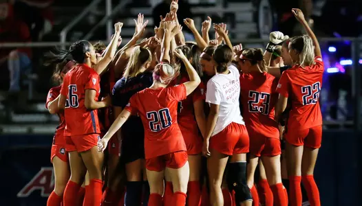 Arizona Wildcats