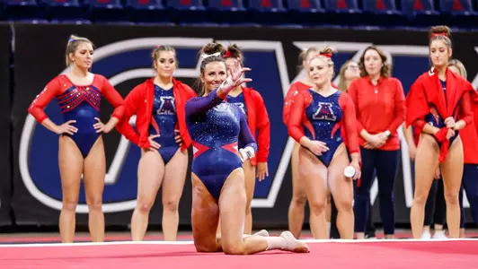gymcat showcase