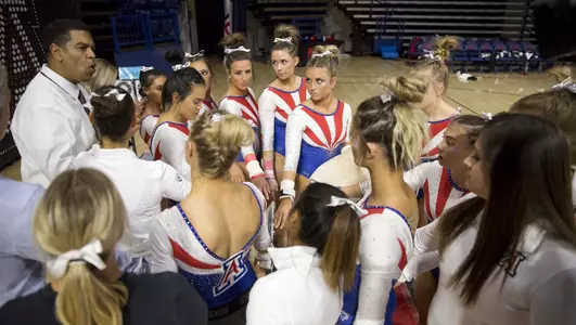 Team