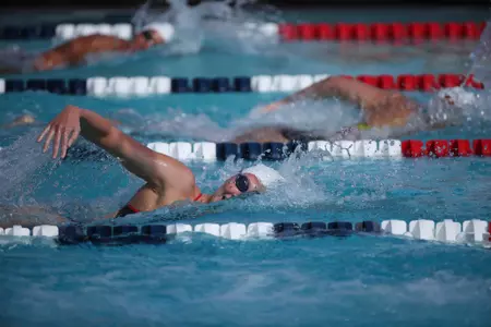 Swim/Dive