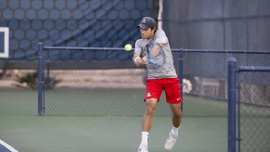 Mens Tennis
