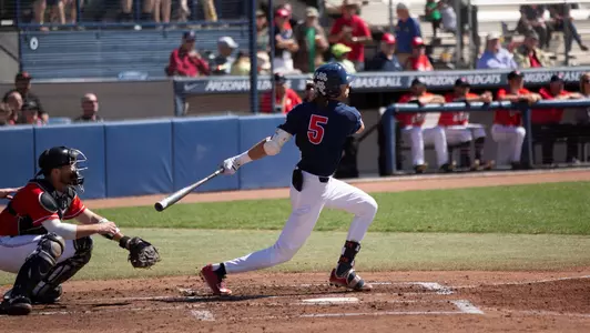 dyer swings