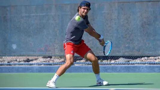 Mens Tennis