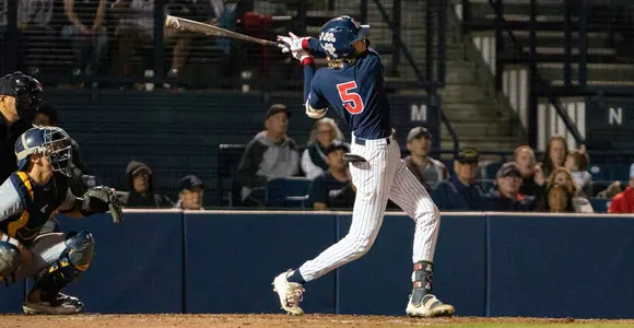 dyer swings