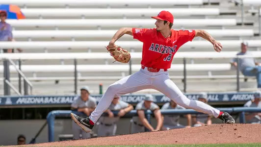 Nardi pitches