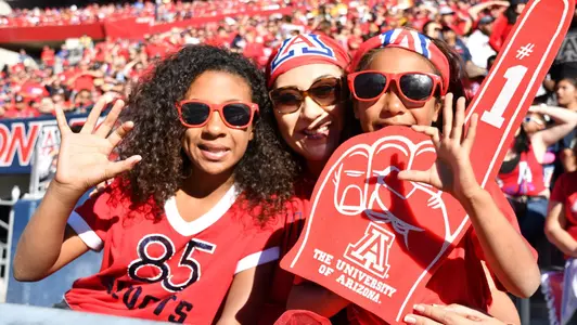 November 24, 2018. during the Wildcats 41-40 loss to the Arizona State Sun Devils. Arizona Stadium, Tucson, AZ.