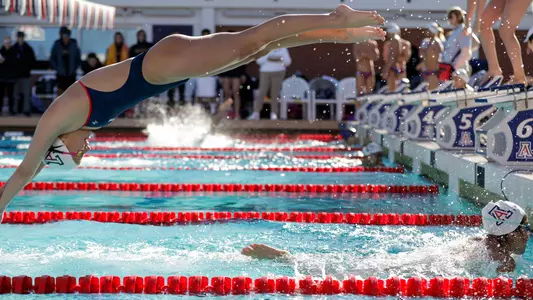 Arizona Swimming and Diving