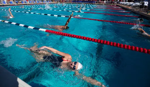 Arizona Wildcats Men's and Women's Swimming and Diving vs. Texas Longhorns 2/1/20 in Tucson, Ariz at Hillenbrand Aquatic Center. Photo by Rebecca Sasnett / for Arizona Athletics