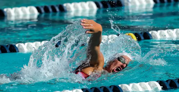 Swim/Dive