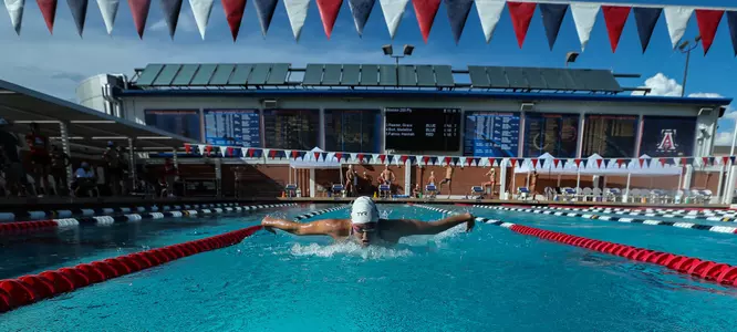 Swim/Dive