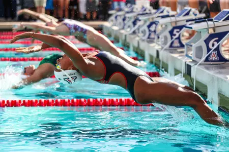 Swim/Dive