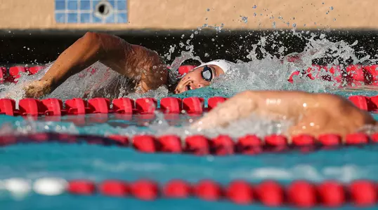 Swim/Dive