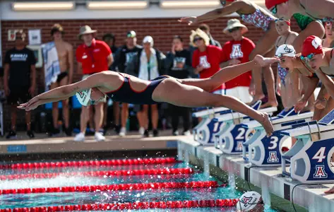 Swim/Dive