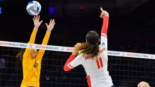 VB vs. Cal