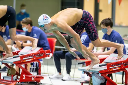 Swim/Dive
