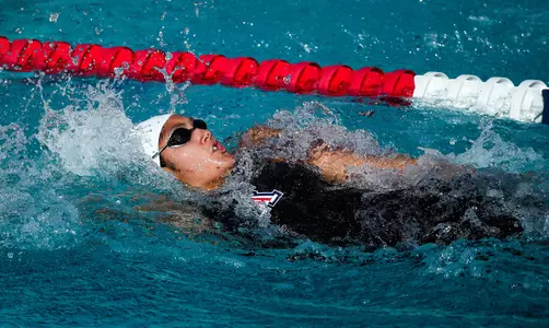 Swim/Dive