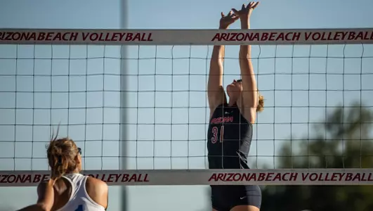 BVB vs. Texas A&M University