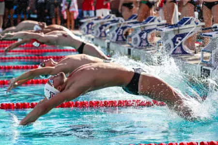 Swim/Dive