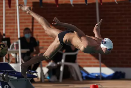 Swim/Dive