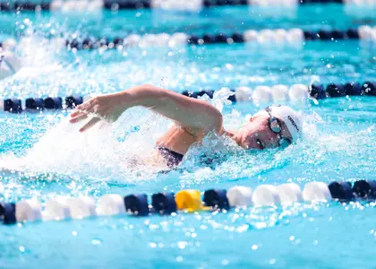 - TUCSON, ARIZ. â??Swim and Dive vs. GCU at Hillenbrand Oct. 15, 2022. Photo by Madison Farwell / Arizona Athletics