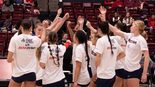 Volleyball team