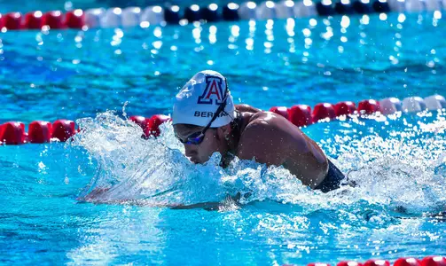 Swim/Dive