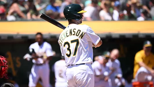 Cal Stevenson first Major League at-bat