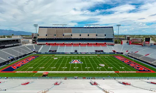 New Stadium Turf