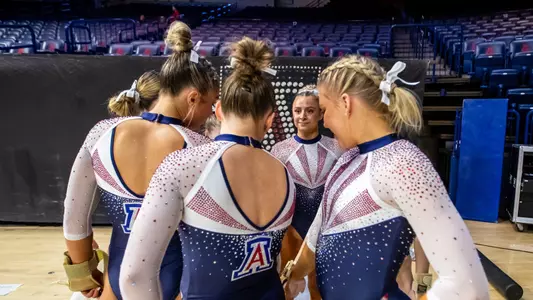 Gymnastics team