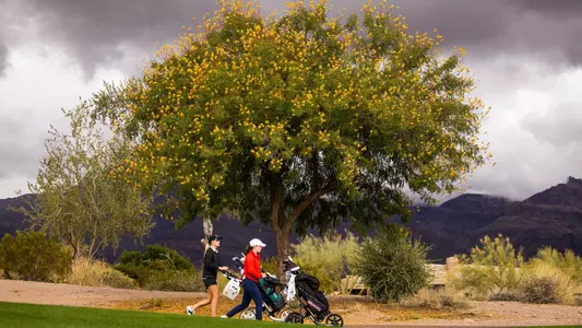Charlotte Back - GOLD CANYON, ARIZ. -- Women’s Golf competes in the 2024 Match in the Desert at Superstition Mountain Golf and Country Club.
Jan. 22, 2024.
Photo by Mike Christy / Arizona Athletics