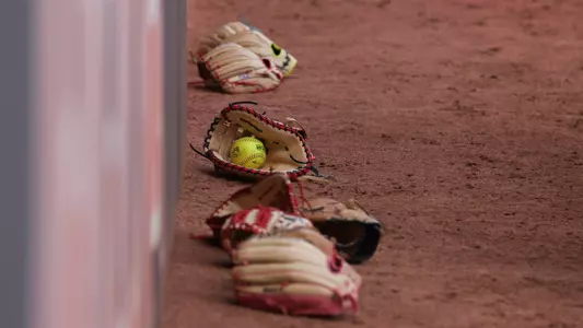 Softball gloves