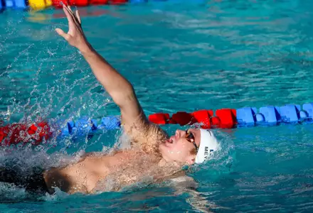 Will Meyers — TUCSON, ARIZ. -- Swimming and diving vs. Harvard at Hillenbrand Aquatic Center.
Jan. 10, 2025.
Photo by Mike Christy / Arizona Athletics
