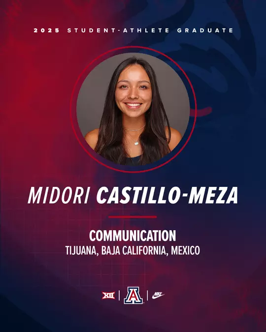 Castillo-Meza