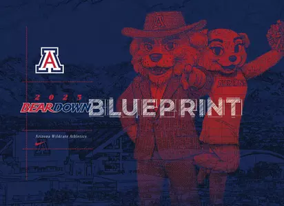 Beardown Blueprint