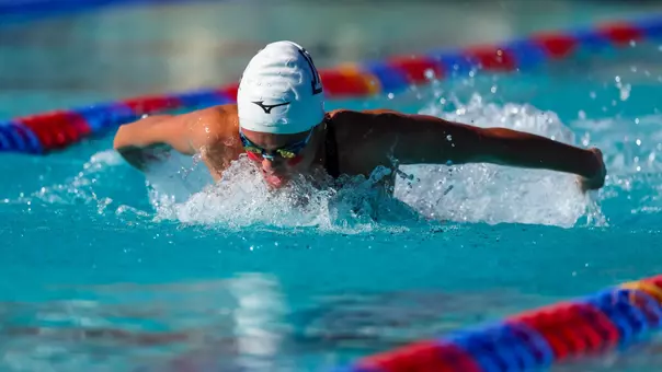 Swim and dive